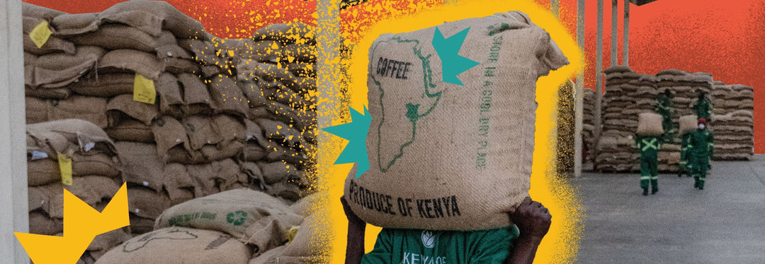 Diferencias entre el café de Kenia, Etiopía y Colombia: Un viaje con Cuatro Vientos Specialty Origins