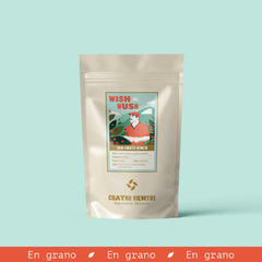 Wush Wush Lavado de Faver Ninco - Café Tostado