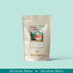 Wush Wush Lavado de Faver Ninco - Café Tostado