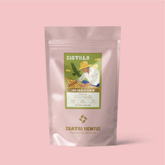 Castillo Lavado de Don Carlos Eraso