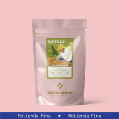 Castillo Lavado de Don Carlos Eraso