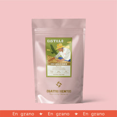 Castillo Lavado de Don Carlos Eraso