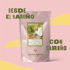 Castillo Lavado de Don Carlos Eraso