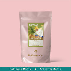 Castillo Lavado de Don Carlos Eraso